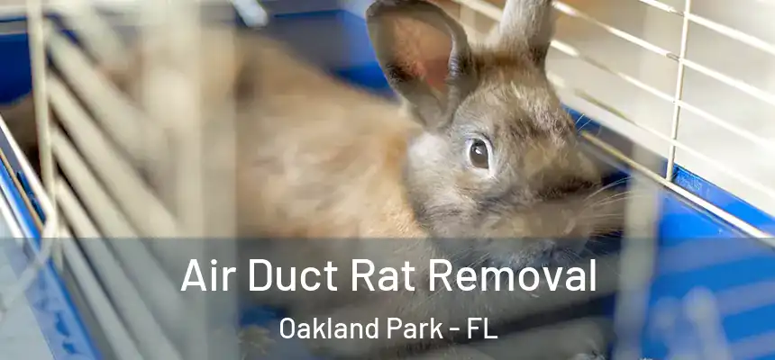  Air Duct Rat Removal Oakland Park - FL
