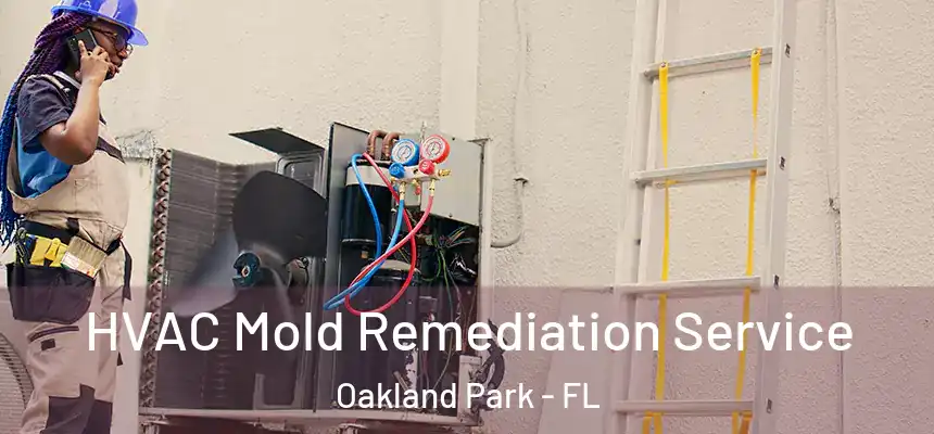  HVAC Mold Remediation Service Oakland Park - FL