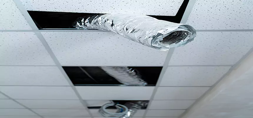 Affordable HVAC Sanitizing After Pest Removal in Oakland Park