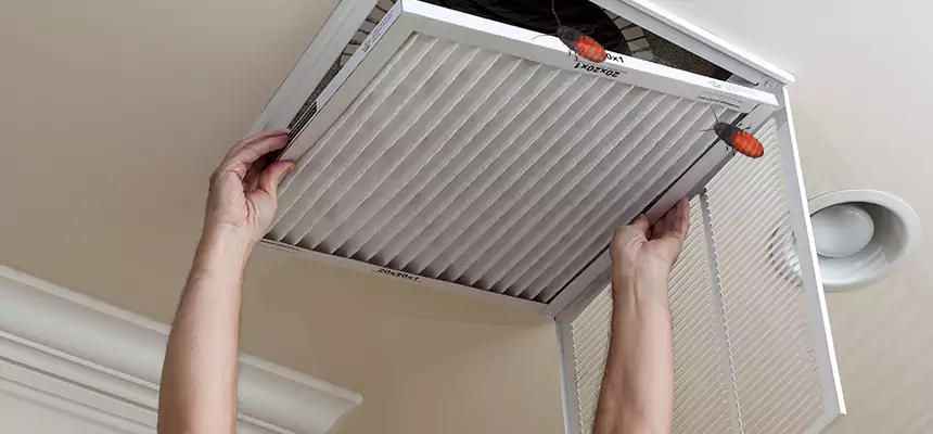 Our Insect Removal from Air Ducts Services in Oakland Park, FL