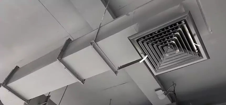 Our Pest Removal From Ducts Services in Oakland Park, FL