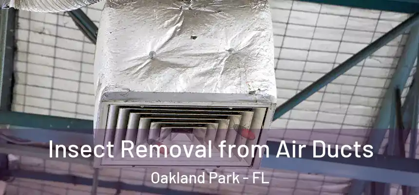 Insect Removal from Air Ducts Oakland Park - FL