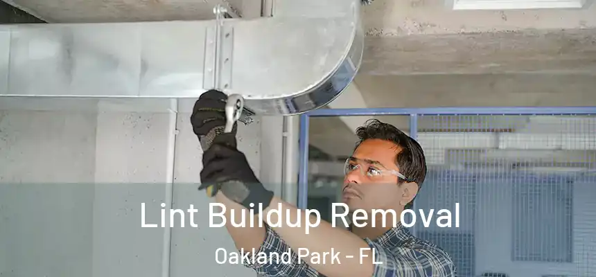  Lint Buildup Removal Oakland Park - FL