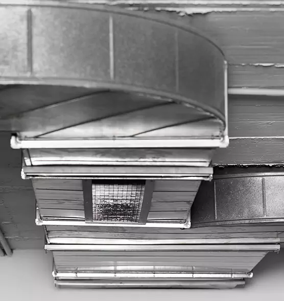 Professional Air Duct Pest Removal in Oakland Park, FL