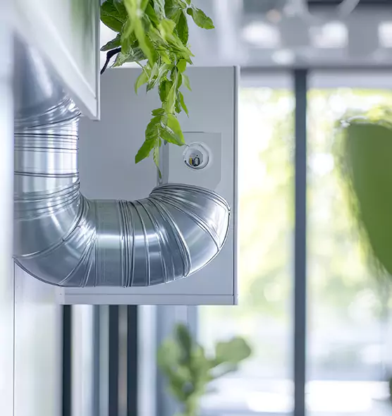 Professional Eco-Safe Dryer Vent Cleaning in Oakland Park, FL