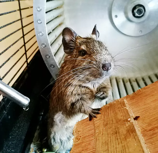 Why Homeowners & Businesses Trust Us Oakland Park, FL