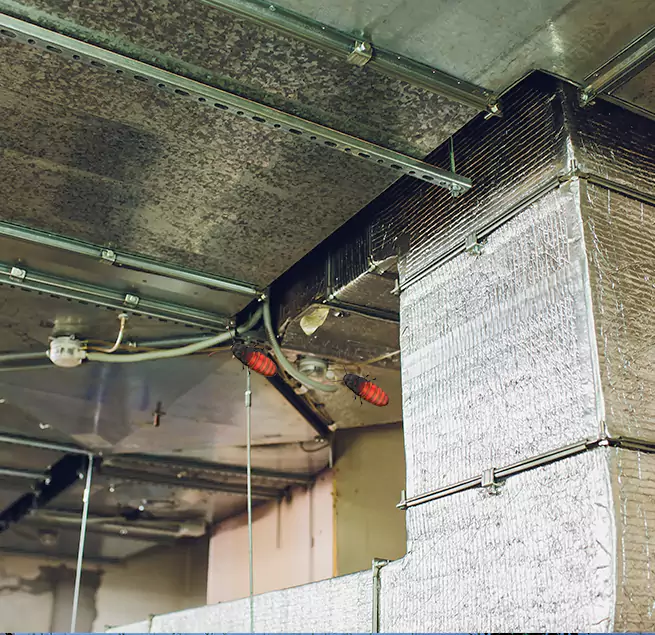 Why Homeowners & Businesses Trust Us Oakland Park, FL?