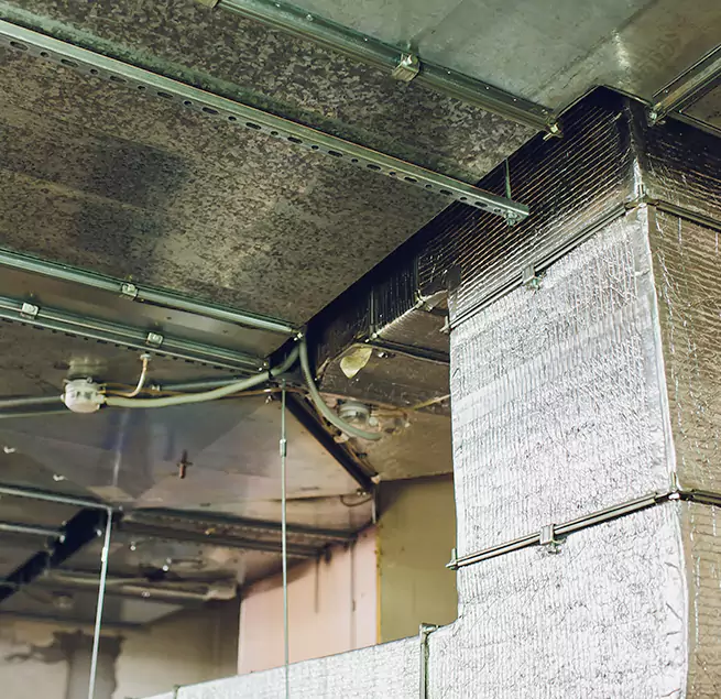 Why Homeowners & Businesses Trust Us in Oakland Park, FL?